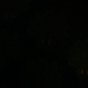 Meet your Posher, Ray